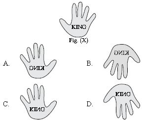 ""CBSE-Class-5-Science-NSO-Olympiad-MCQs-with-Answers-Set-H-3