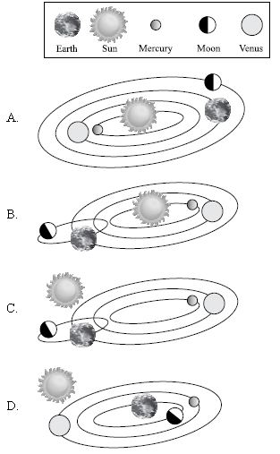 ""CBSE-Class-5-Science-NSO-Olympiad-MCQs-with-Answers-Set-H-7