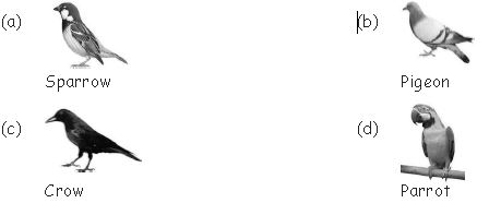 ""CBSE-Class-3-General-Knowledge-Transport-and-Communication-MCQs-6