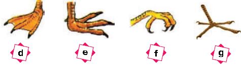 ""CBSE-Class-3-Science-NSO-Olympiad-MCQs-with-Answers-Set-N-2