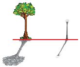 ""CBSE-Class-3-Science-NSO-Olympiad-MCQs-with-Answers-Set-N-4