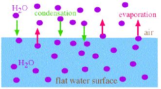 ""CBSE-Class-6-Science-Changes-Around-Us-Worksheet-Set-A-9