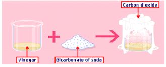 ""CBSE-Class-6-Science-Changes-Around-Us-Worksheet-Set-D-2