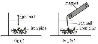 ""CBSE-Class-6-Science-Magnetism-Worksheet-Set-D-3
