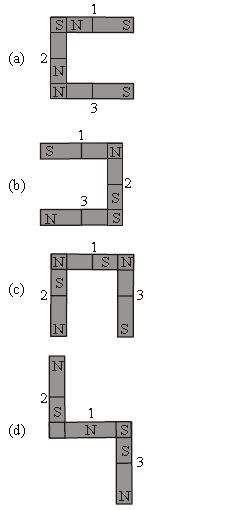 ""CBSE-Class-6-Science-Magnetism-Worksheet-Set-D-4