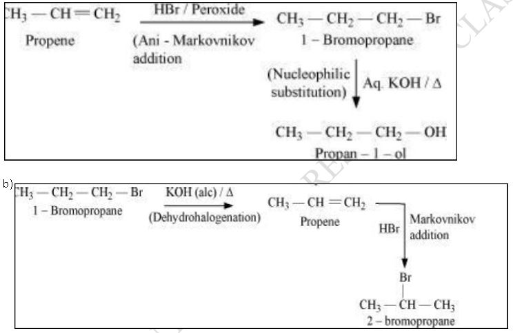 ""CBSE-Class-12-Chemistry-Halo-Alkanes-And-Haloarene-Worksheet-Set-B-1