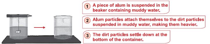 ""CBSE-Class-5-Science-NSO-Olympiad-MCQs-with-Answers-Set-K-12