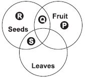 ""CBSE-Class-6-Science-NSO-Olympiad-MCQs-with-Answers-Set-L-21