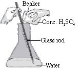 ""CBSE-Class-7-Science-NSO-Olympiad-MCQs-with-Answers-Set-H-13