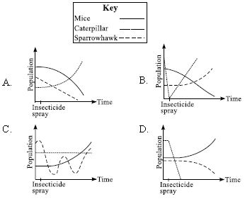 ""CBSE-Class-7-Science-NSO-Olympiad-MCQs-with-Answers-Set-H-28