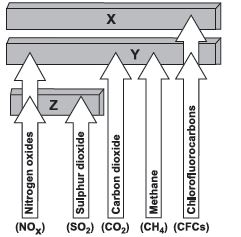 ""CBSE-Class-8-Science-NSO-Olympiad-MCQs-with-Answers-Set-Q-13