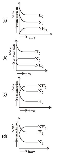 ""CBSE-Class-11-Chemistry-HOTs-Equilibrium-1