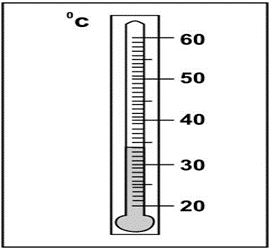 ""CBSE-Class-4-Maths-Halves-And-Quarters-Worksheet-Set-A-11