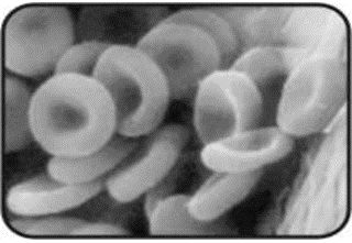 ""CBSE-Class-7-Science-Light-VBQs-2