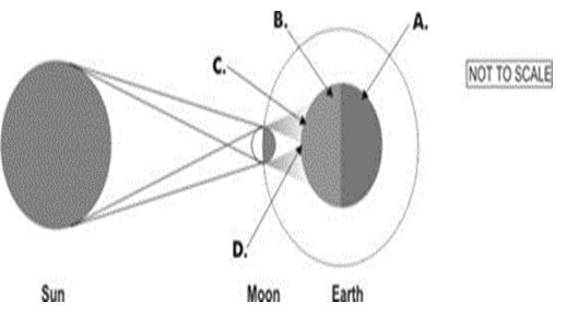 ""CBSE-Class-7-Science-Light-VBQs-4