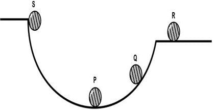 ""CBSE-Class-8-Science-Force-and-Pressure-Worksheet-Set-B-5