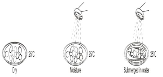 ""CBSE-Class-8-Science-Microorganisms-Friend-and-Foe-Worksheet-Set-B