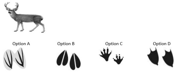 ""NCERT-Solutions-Class-4-Environmental-Studies-Chapter-16-A-Busy-Month-7