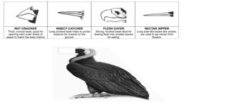 ""NCERT-Solutions-Class-4-Environmental-Studies-Chapter-16-A-Busy-Month-8