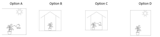 ""NCERT-Solutions-Class-4-Environmental-Studies-Chapter-19-Abdul-In-The-Garden-4