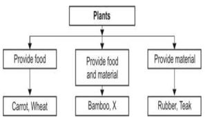 ""NCERT-Solutions-Class-5-Environmental-Studies-Chapter-19-A-seed-tells-a-farmer-story