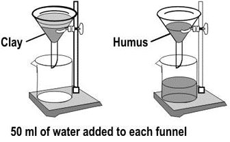 ""NCERT-Solutions-Class-5-Environmental-Studies-Chapter-6-Every-drop-counts-4