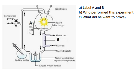 CBSE-CLASS-12-BIOLOGY-EVOLUTION_DIGRAMS_3