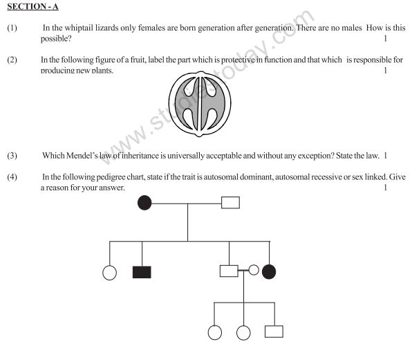 Class_12_Accountancy_Sample_Papers_8