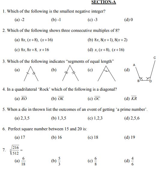Class_8_Mathematics_Sample_Paper_13