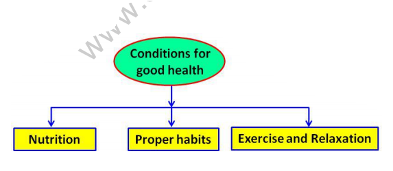 useful-resources-science-cbse-class-9-science
