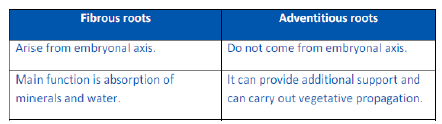 NCERT Class 11 Biology Morphology of Flowering Plants Important Notes3