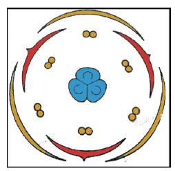 NCERT Class 11 Biology Morphology of Flowering Plants Important Notes4