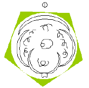 NCERT Class 11 Biology Morphology of Flowering Plants Important Notes6