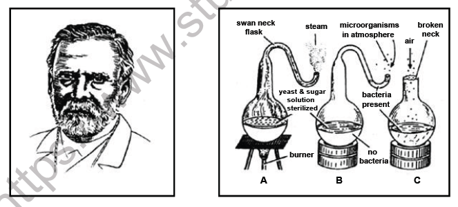 NEET Biology Origin and Evolution of Life Chapter Notes