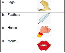 CBSE Class 3 English Bird Talk Worksheet Set A3