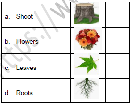 CBSE Class 3 English Little by Little Worksheet Set A2