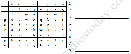 CBSE Class 3 English Practice Worksheet Little Tiger Big Tiger Set B