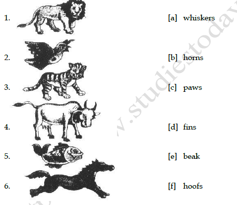 CBSE Class 3 English Practice Worksheet The Ship of the Desert Set A