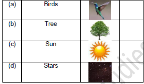 CBSE Class 3 English The Magic Garden Worksheet Set A5