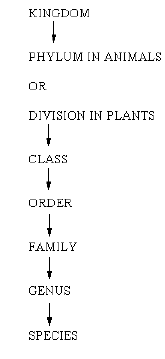 NEET Biology Diversity in the Living World Chapter Notes-2