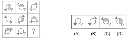 NTSE MAT Miscellaneous3