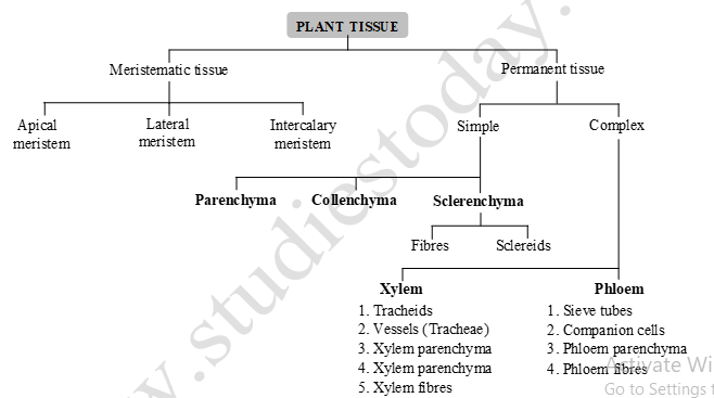 class_9_science_useful_7